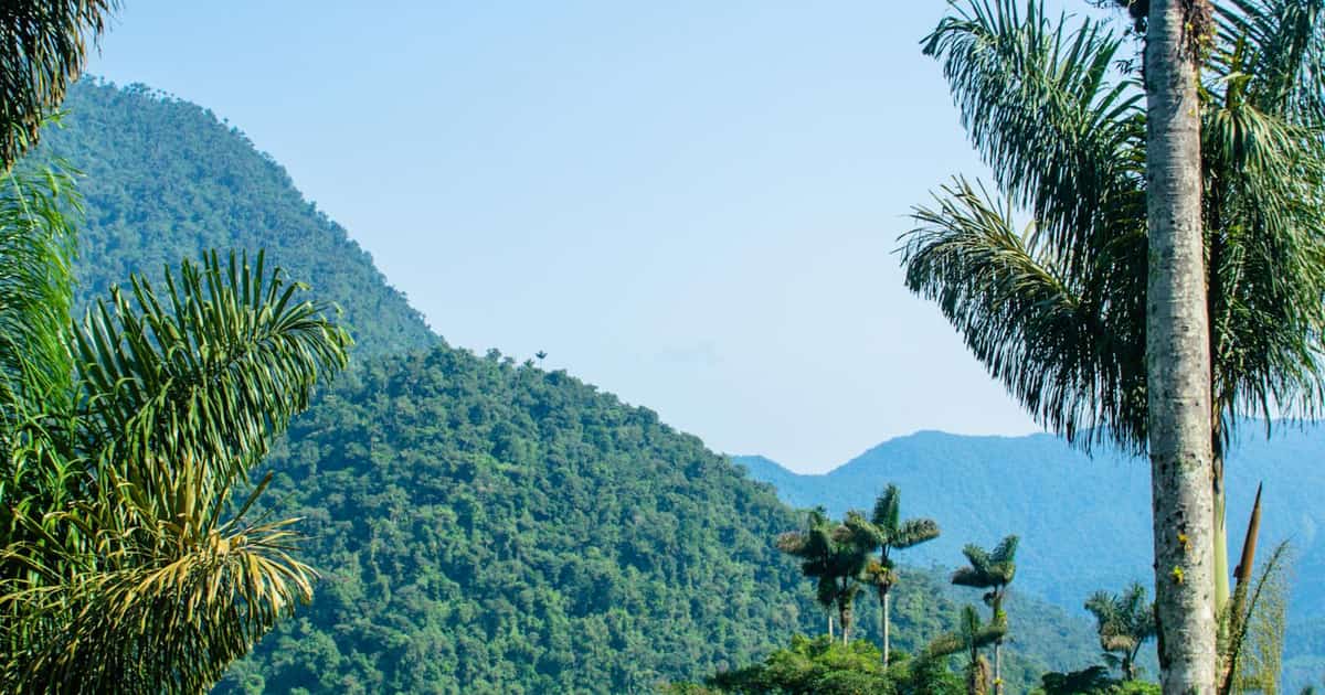 Ciudad Perdida (Lost City) Trek: Complete 4-Day Guide